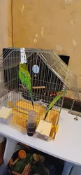 Imagen de reseña 3