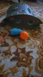 Imagen de reseña 5