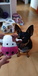 Imagen de reseña 1