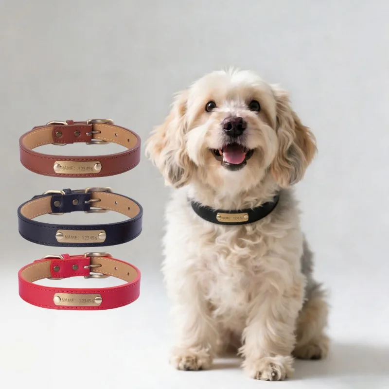 Collar grabado personalizado con placa ajustable para perro y gato - imagen 2
