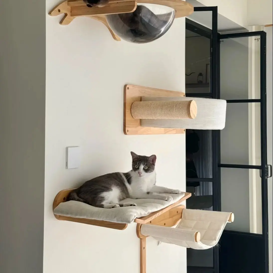 Cuerda de escalada para gatos, escalones de madera maciza montados en la pared y cuerda de Sisal, garra para gatito, muebles de interior para entrenamiento para gatos