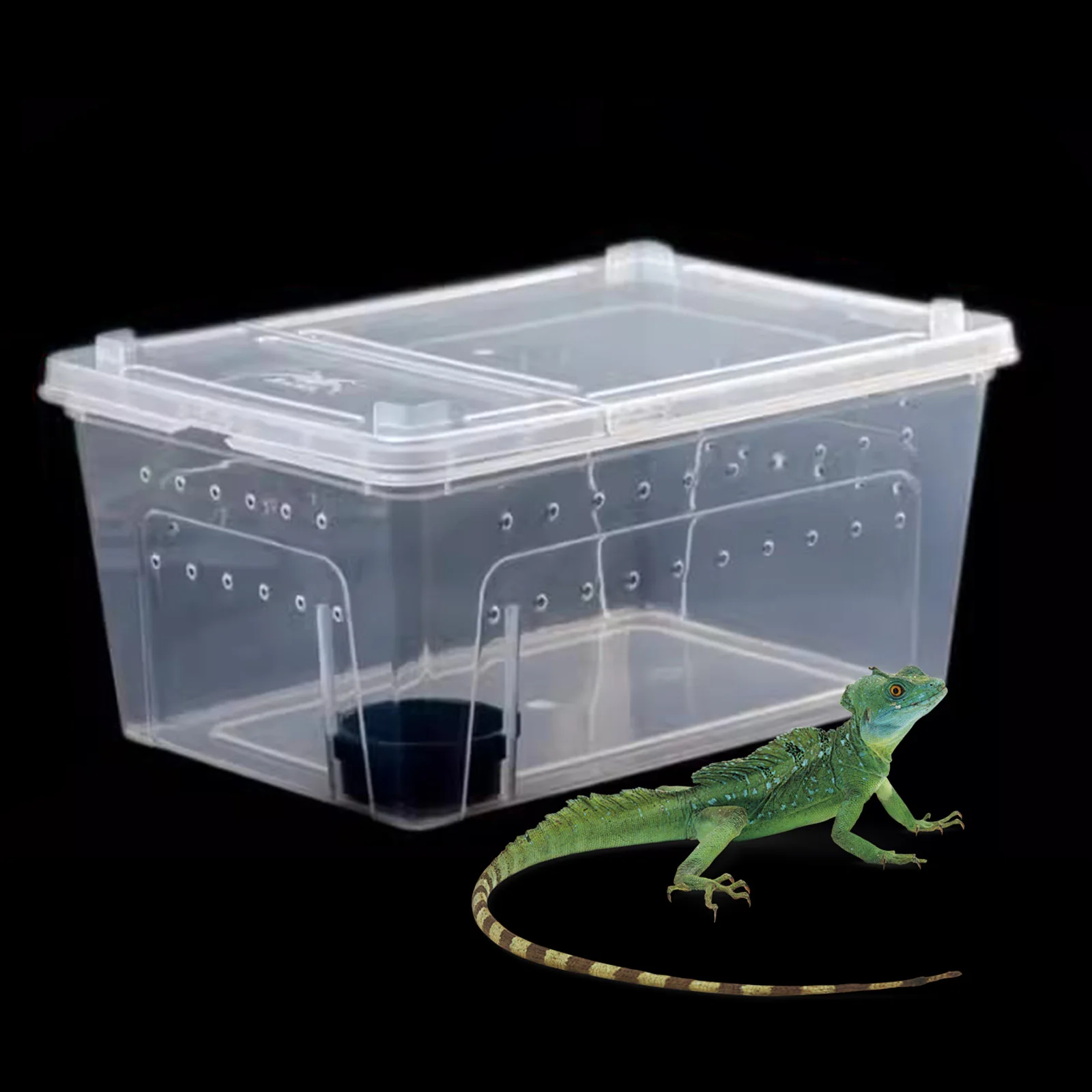 Caja transparente para cría de reptiles, terrario transparente, hábitat, árbol, rana, contenedor para incubar, Scorpion Gecko, Mini suministros para mascotas