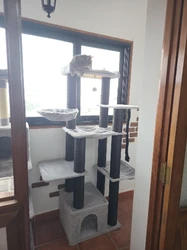 Imagen de reseña 2