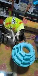 Imagen de reseña 2