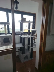 Imagen de reseña 3