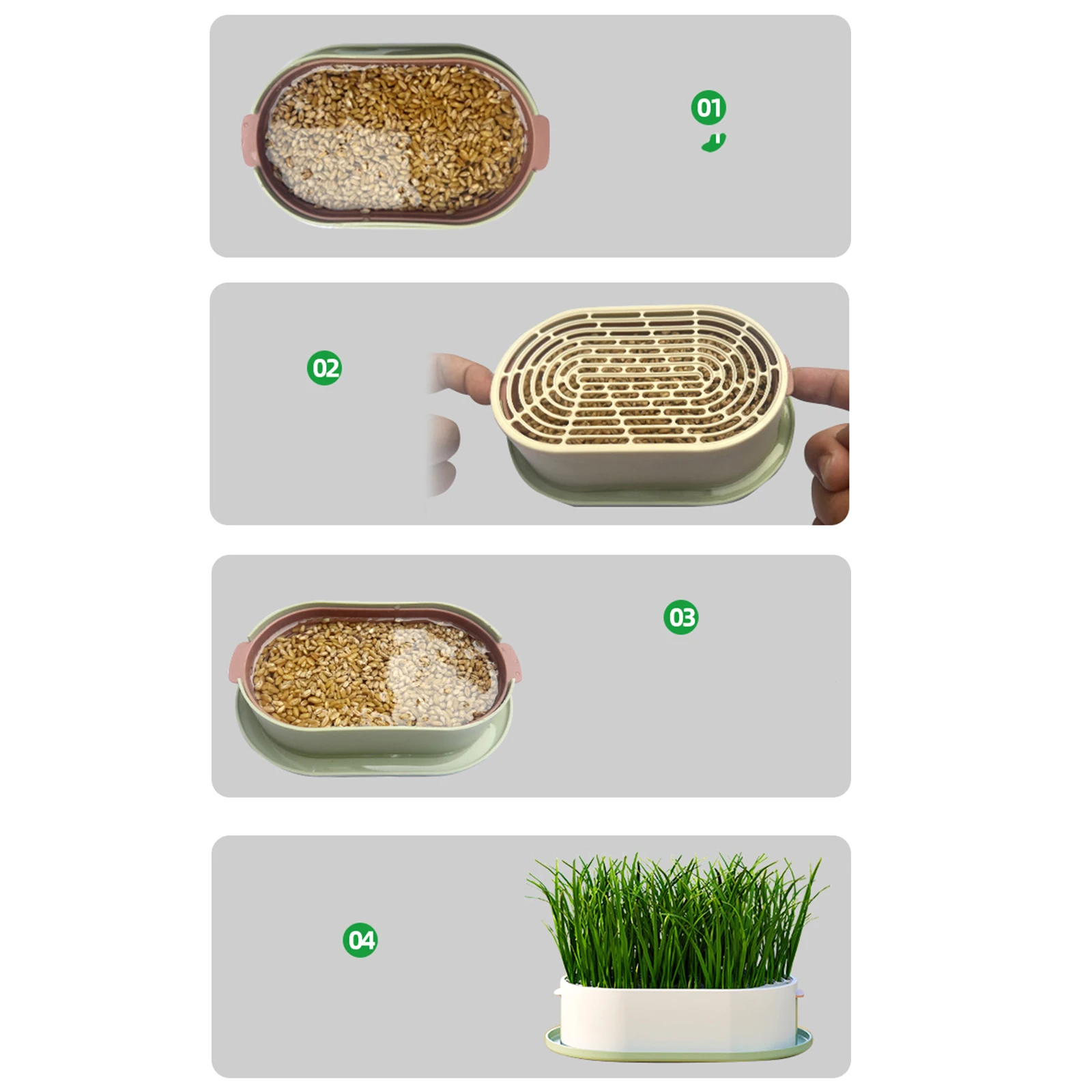 Maceta de hierba para Gato con orificios de drenaje, bandeja de plantación hidropónica multifuncional, maceta de cultivo de hierba de trigo para invernadero - imagen 5