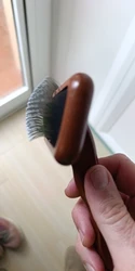 Imagen de reseña 2