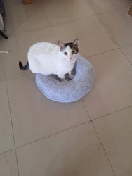 Imagen de reseña 2