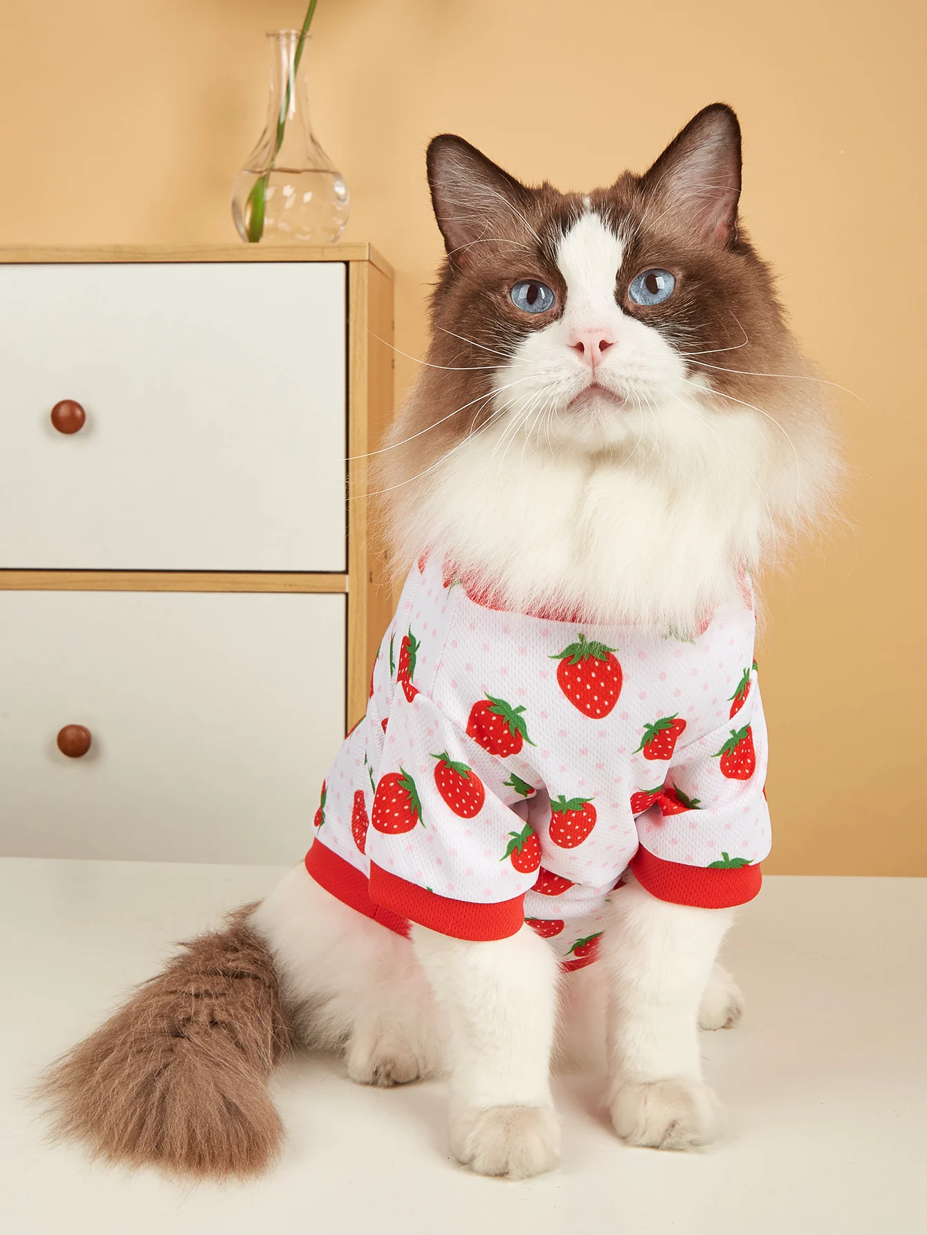 Ropa de verano para mascotas para gatos pequeños/perros, camisas de malla transpirable para gatos/perros, trajes de ropa para mascotas con estampado de frutas (fresa/lima) - imagen 2