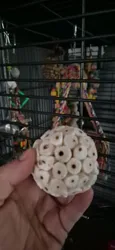 Imagen de reseña 1