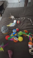 Imagen de reseña 1