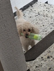 Imagen de reseña 1