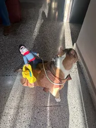 Imagen de reseña 1