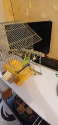 Imagen de reseña 2