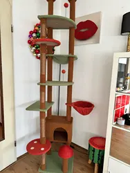 Imagen de reseña 2