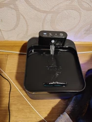 Imagen de reseña 2