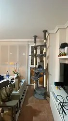 Imagen de reseña 2