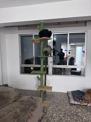 Imagen de reseña 2