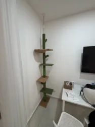 Imagen de reseña 1