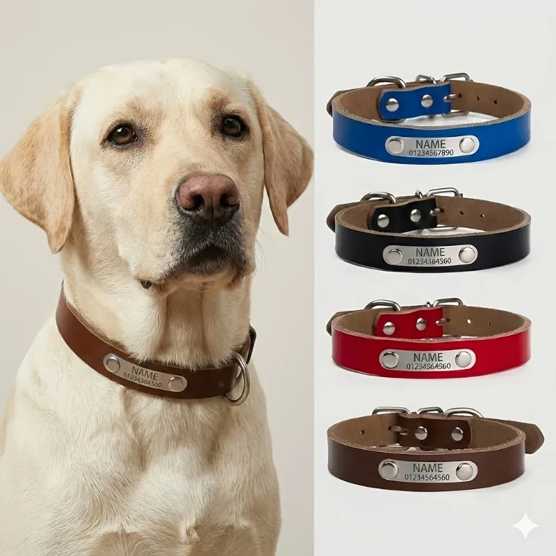 Collar para perro con placa de identificación – Grabado gratuito - imagen 3