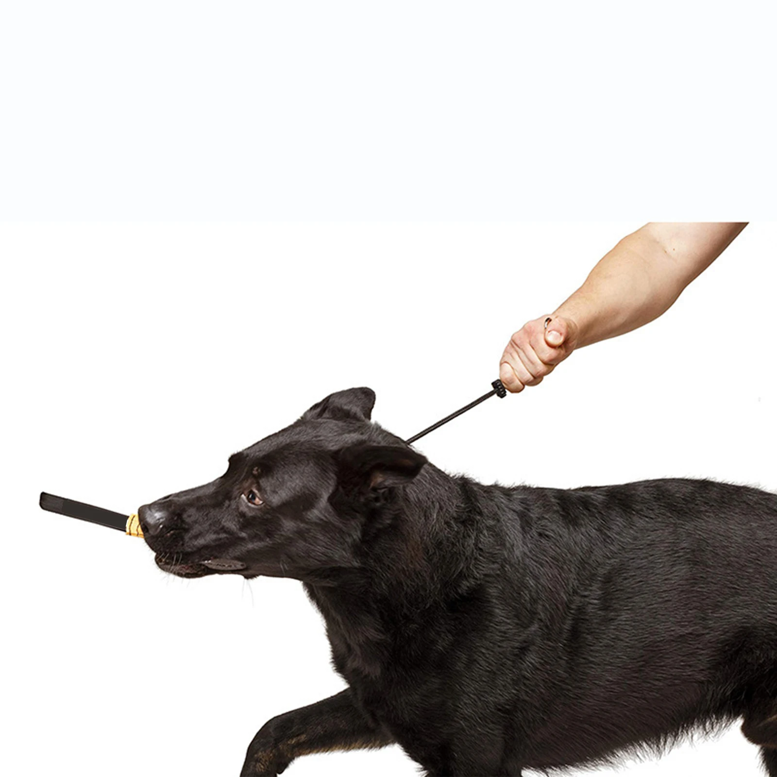 Collar de entrenamiento ajustable para perros, correa de nailon portátil para perros, cuerda para estrangulación de cachorros, suministros para mascotas, 40/50/55cm - imagen 2