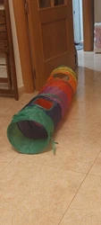 Imagen de reseña 1