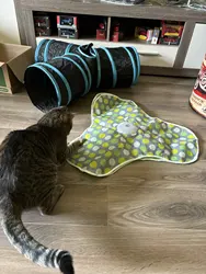 Imagen de reseña 1