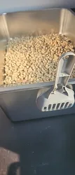 Imagen de reseña 3