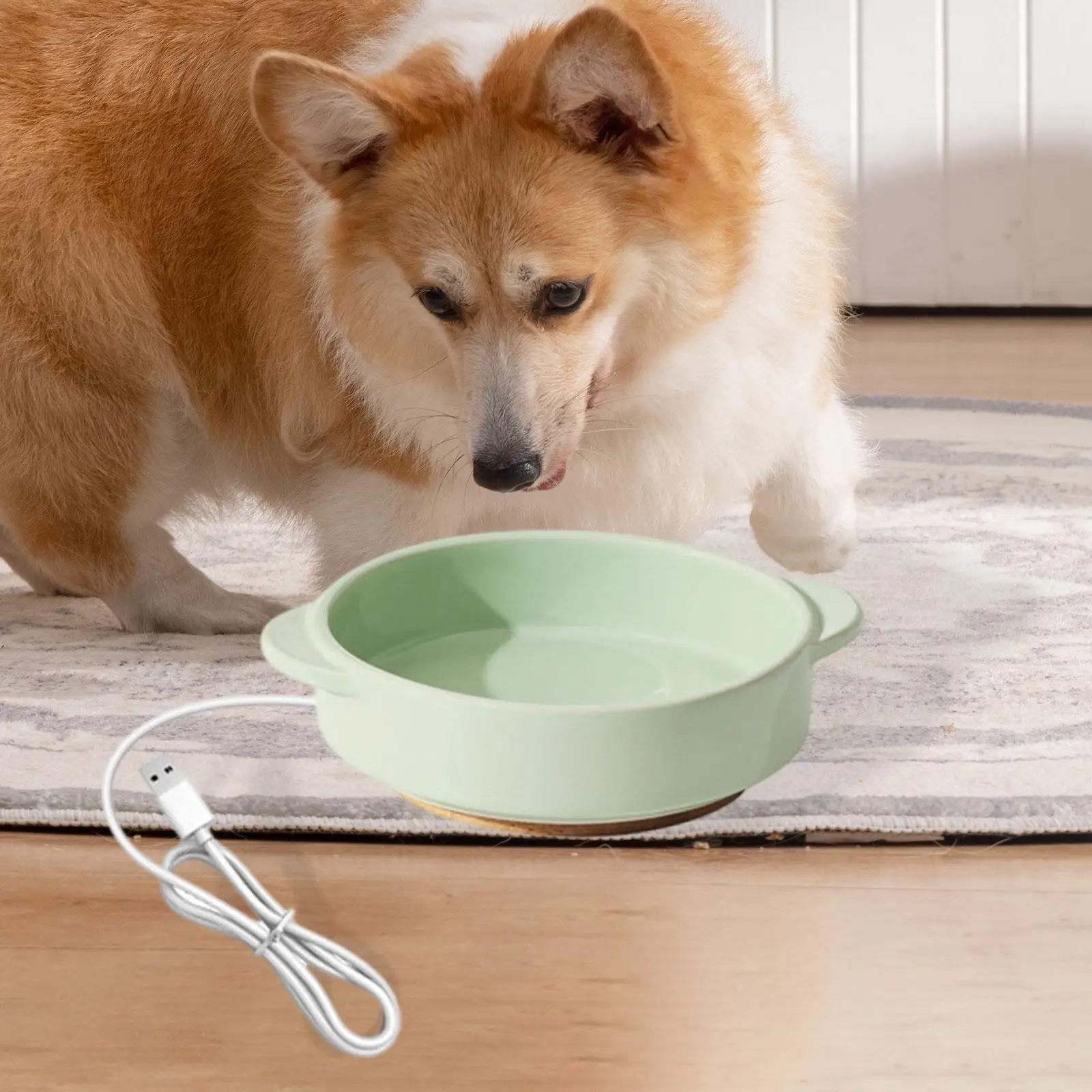 Bebedero termostático elevado para perros y gatos – Agua siempre templada - imagen 3