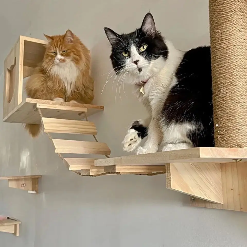 Estantes para gatos montados en la pared, poste rascador para plataforma de salto para gatos y hamaca para gatos, escalera de cuerda, muebles de madera para pared, 1 ud. - imagen 5
