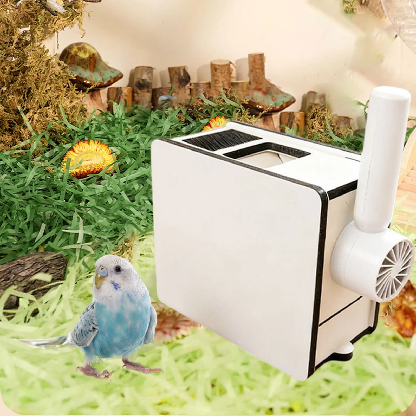 Separadora cáscaras aves caja loros con ventilador periquitos cacatúas