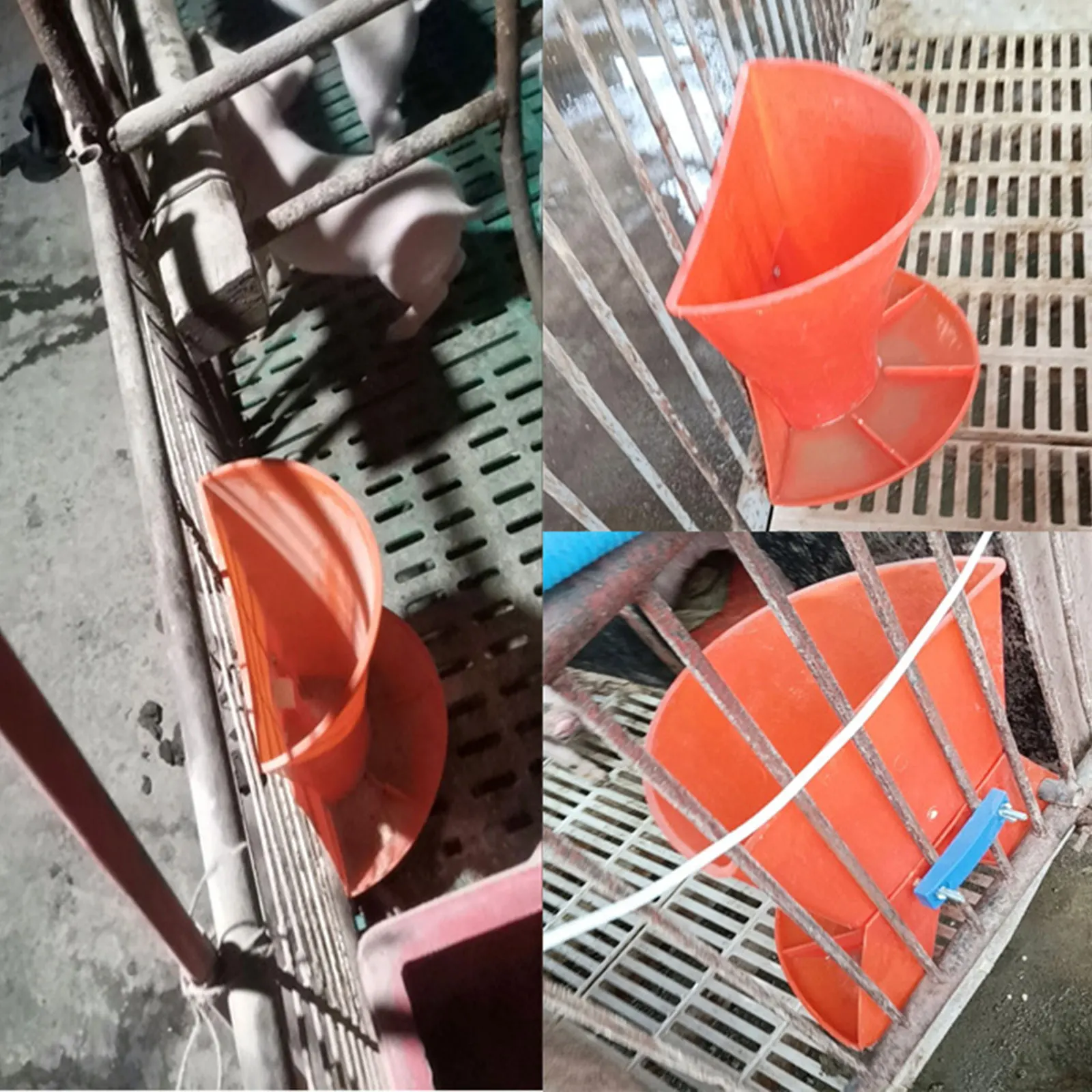 Comedero de plástico para alimentación de lechones, alimentador de paneles montado en la pared con cuatro compartimentos, dispensador de alimentación para ganado, suministros agrícolas - imagen 3