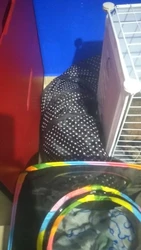 Imagen de reseña 1