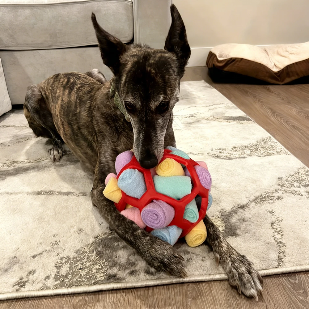 Pelota olfativa para perros – Dispensadora de premios y antiestrés - imagen 4