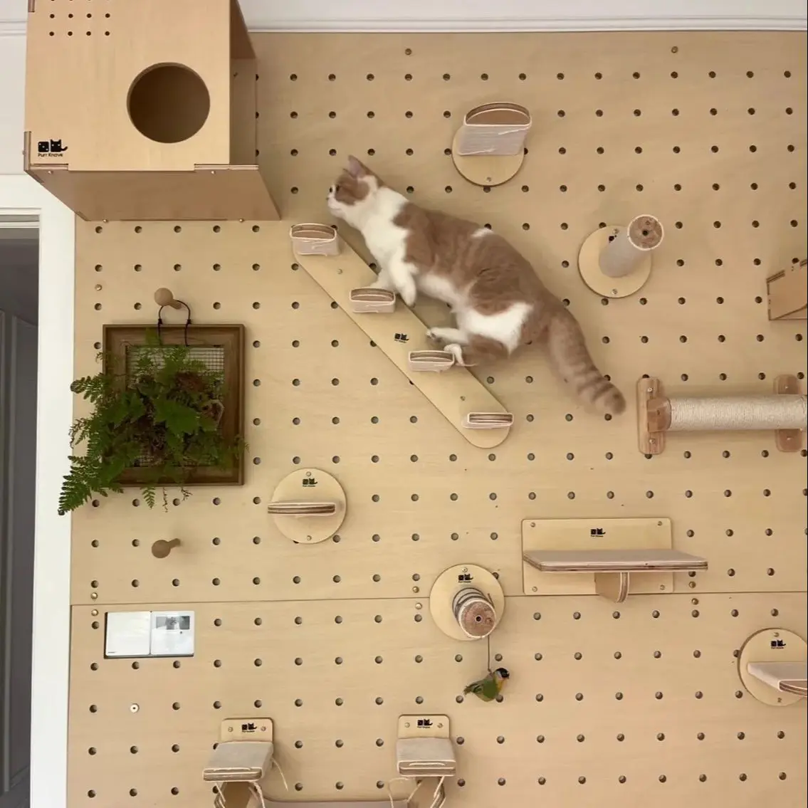 Cuerda de escalada para gatos, escalones de madera maciza montados en la pared y cuerda de Sisal, garra para gatito, muebles de interior para entrenamiento para gatos