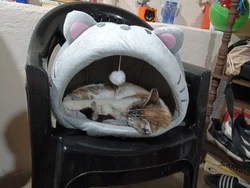 Imagen de reseña 2