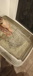 Imagen de reseña 3