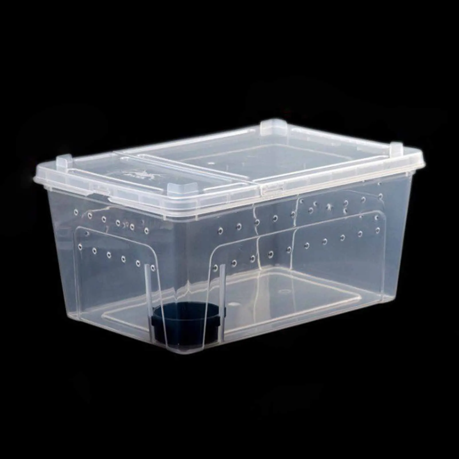 Caja transparente para cría de reptiles, terrario transparente, hábitat, árbol, rana, contenedor para incubar, Scorpion Gecko, Mini suministros para mascotas - imagen 3