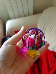 Imagen de reseña 1