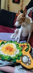 Imagen de reseña 1