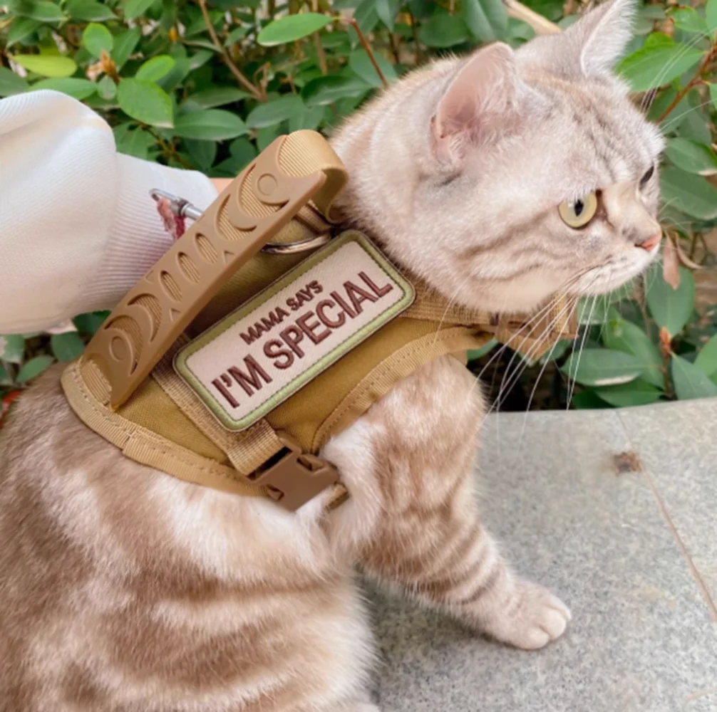 Arnés táctico para gatos y perros - conjunto de correa ajustable - imagen 2