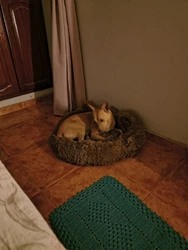 Imagen de reseña 2