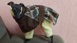 Imagen de reseña 5