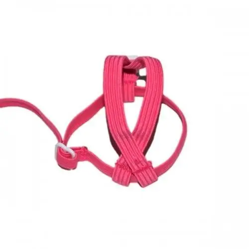 Ninfasweb Arnés para Cotorras NINFAS WEB - Ajuste Cómodo - Variedad de Colores - imagen 2