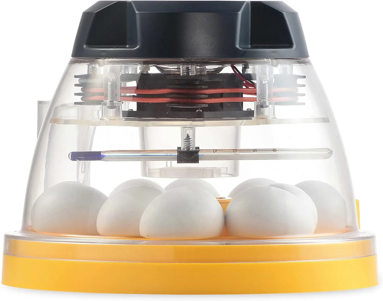 FINCA CASAREJO Incubadora Brinsea Mini II Eco - 10 Huevos Gallina/codorniz - Nacedora de Alto Rendimiento - imagen 4