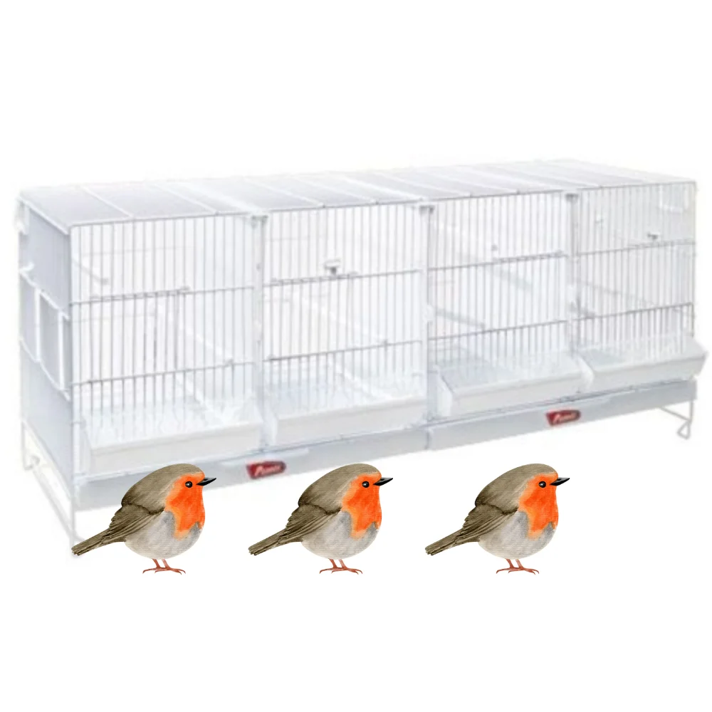 PEDRÓS NOVA JAULÓN DE METRO PARA CRÍA DE AVES. Con Separadores, comederos y palos. Adecuada para Dos Parejas de Canarios - imagen 3