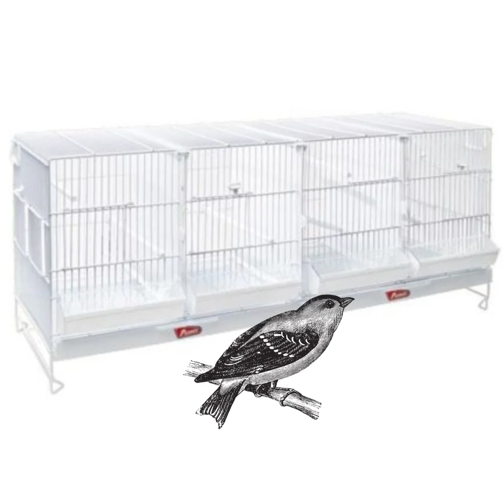 PEDRÓS NOVA JAULÓN DE METRO PARA CRÍA DE AVES. Con Separadores, comederos y palos. Adecuada para Dos Parejas de Canarios - imagen 2