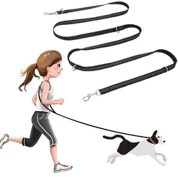 Correa reflectante nailon para perros – Paseos y entrenamiento