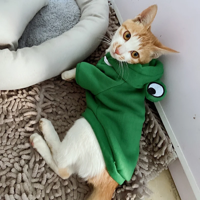 Sudadera con capucha de invierno para mascotas, suéter deportivo para gatos, suéteres para perros y gatitos, ropa para Cosplay de animales y frutas, disfraz para mascotas - imagen 4