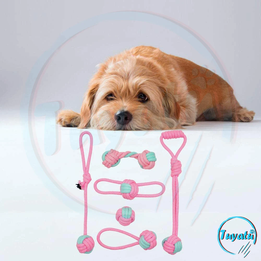 Juguete masticable de cuerda de algodón para perros pequeños, bola para masticar, duradera e interactiva, para cachorros, 6 paquetes - imagen 5